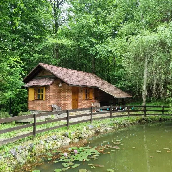 Cottage by the pond Pavel, hotel v destinaci Šmarje pri Jelšah