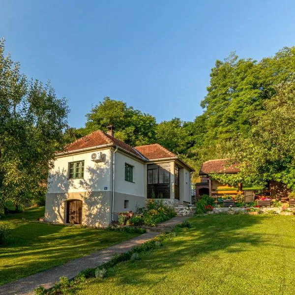 Rustična kuća CRVENA STENA u blizini kućice na Drini, hotel in Bajina Bašta