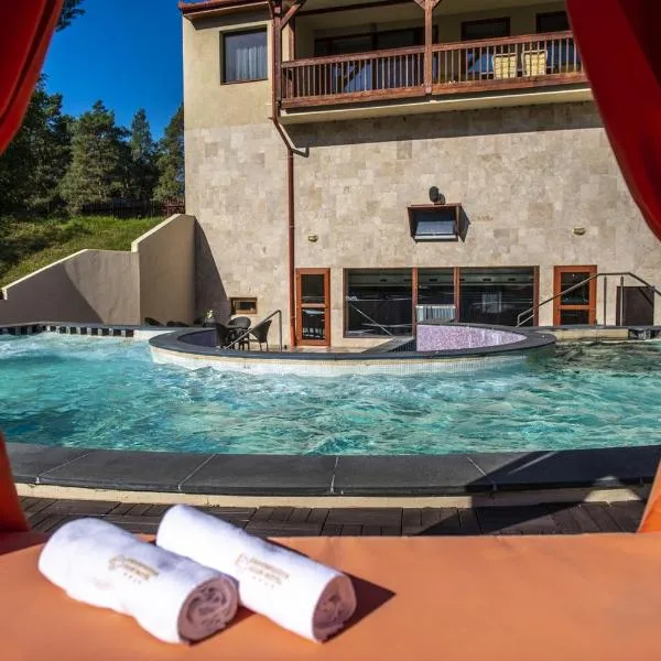 Erdőspuszta Club Hotel Fenyves, hotel in Debrecen