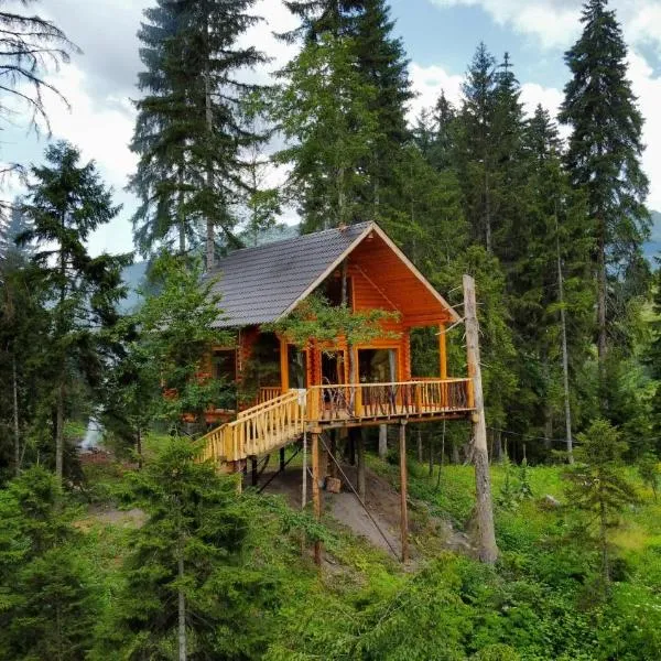 Cottage farvana, hotel di Khulo