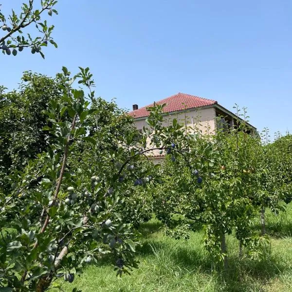 Villa Mance, hotel in Berat