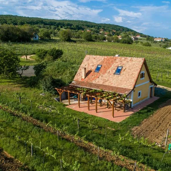 Tagyon Birtok Tulipános Apartman, hotel in Tagyon