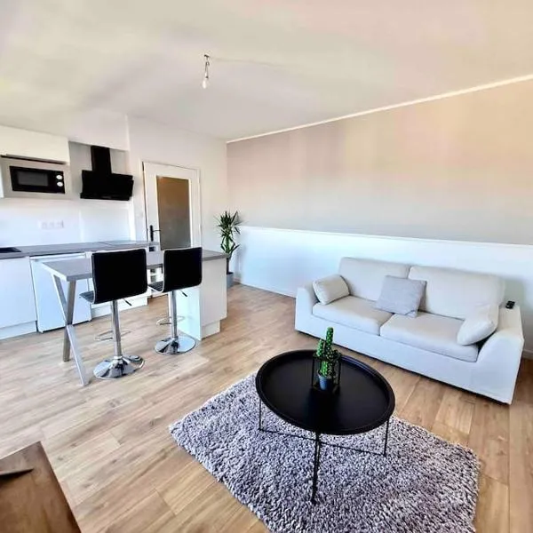 Superbe appartement, hôtel à Pau