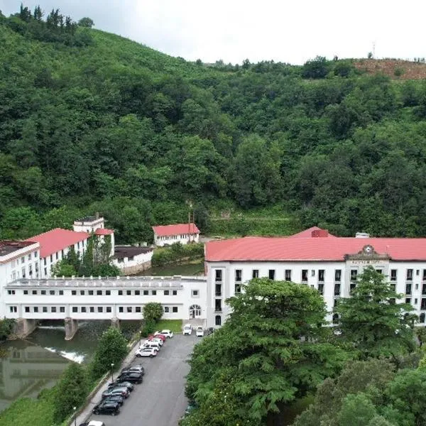 Balneario de Cestona, hôtel à Aia