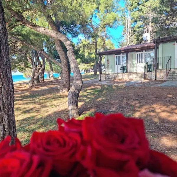 Family Bungalow Pineta, hotel v destinaci Novigrad – Istrie