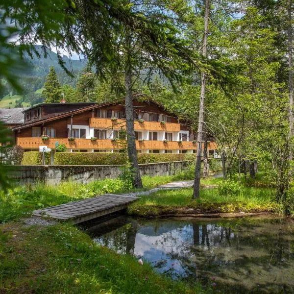 Hôtel Les Sources, hotel in Gsteig