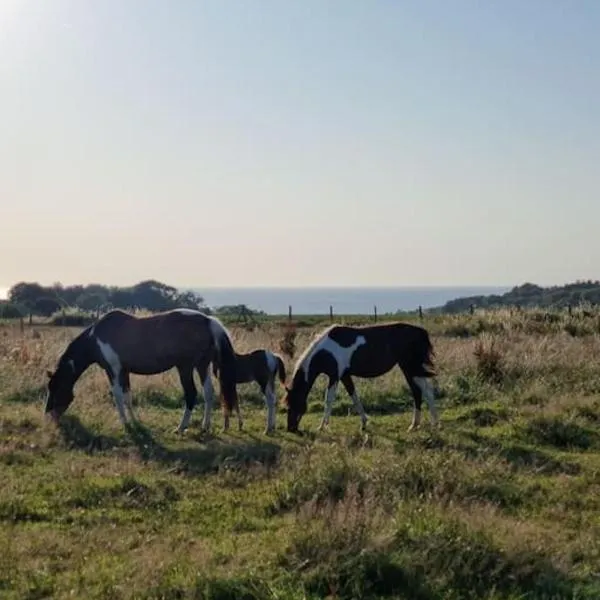 Chalet Vue Mer, terrasse, nature, poney à disposition, hotel v destinaci Dieppe