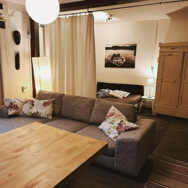 Small Apartment, Tahko, Sauna, Shower, WiFI, PetsOK, Budget, Wanha koulu Tahkovuori, hótel í Reittiö