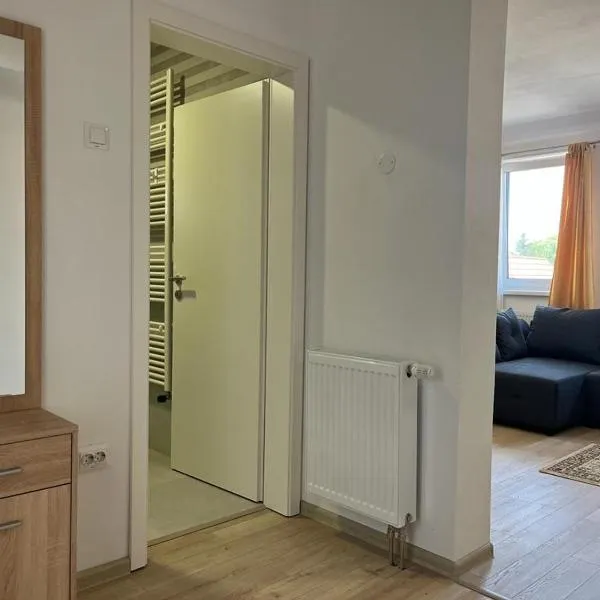 Sabina Apartaments, hotel in Sfântu-Gheorghe