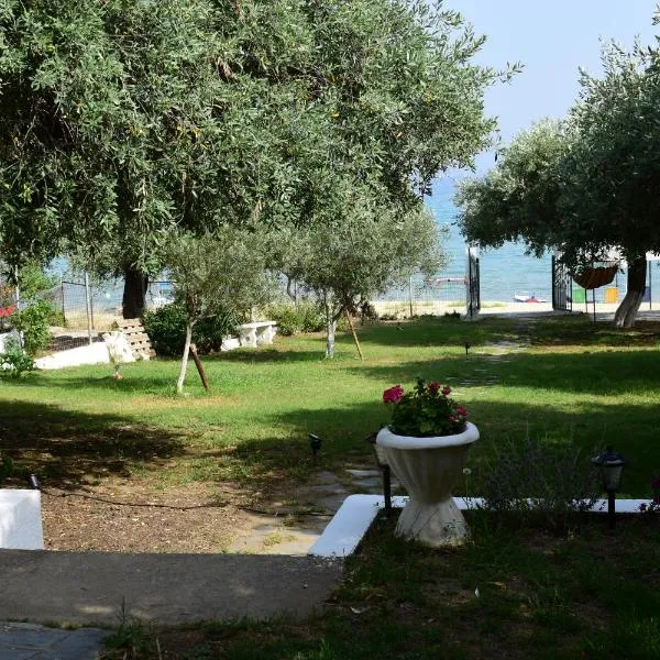 Evans Beach House: Elevtheraí şehrinde bir otel