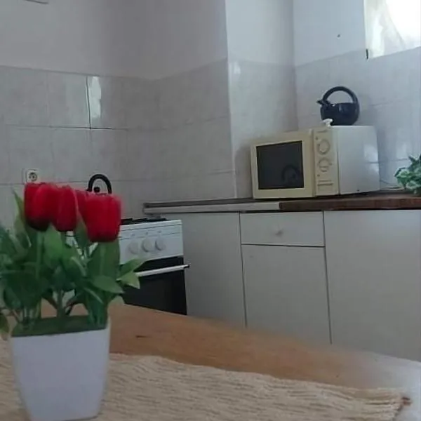 Badacsonyi privát bérlemény, hotel v destinaci Badacsonytomaj