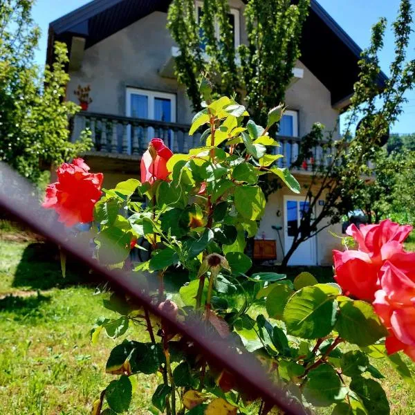 DOBRA VODA, hotel in Vojno Selo