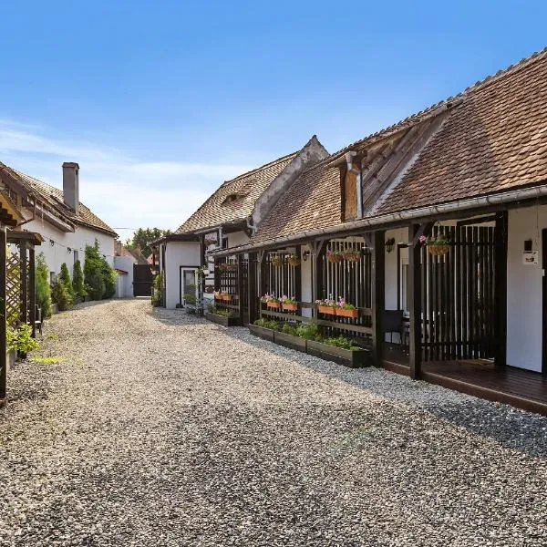Pensiunea Alina "Adults Only", hotel in Sibiu