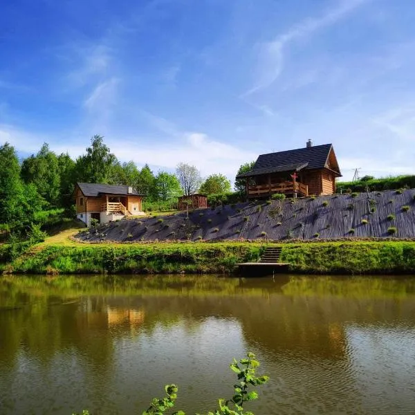 Siedlisko Sielska Dolina Nad Stawem luksusowy domek całoroczny z fińską sauną, hotel v destinaci Tarnowiec