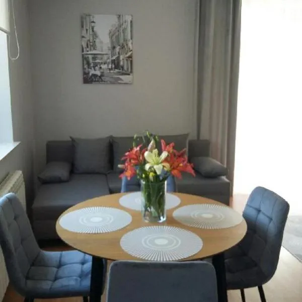Apartament pod czwórką, hotel v destinaci Sandoměř