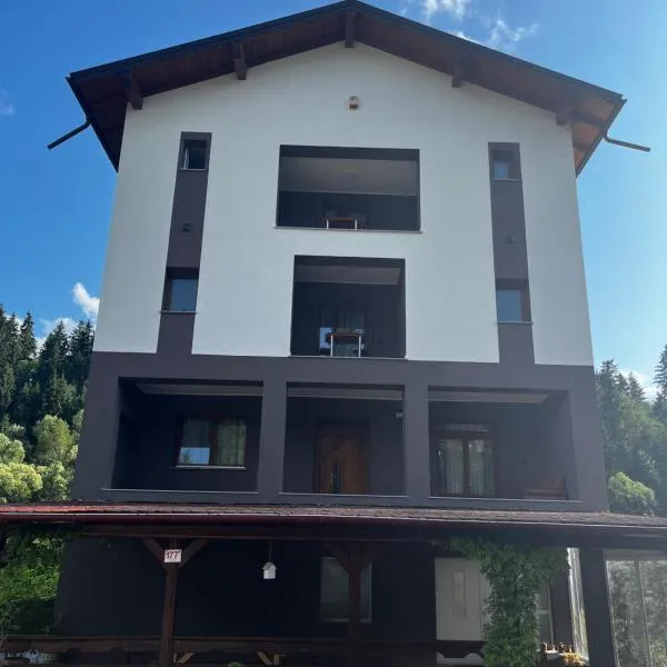 Cazare Luxandra、ボルシャのホテル