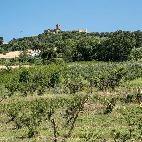 QUEEN appartamenti e camere, hotel Campofilonéban