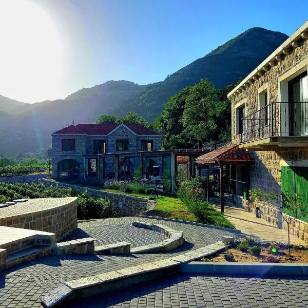 Markovic Winery and Estate apartments, hotel in Cetinje