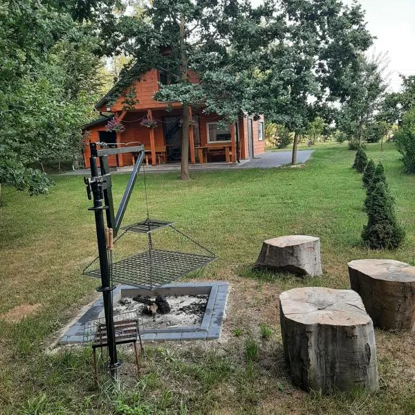 Roztocze 3 kroki od sosny, hotel in Zamość