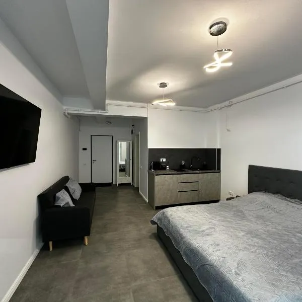 너보다리에 위치한 호텔 Toader`s Studio Promenada