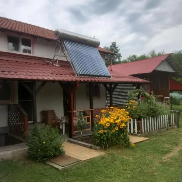 Casa Ioana、Căpăţîneni-Pămînteniのホテル