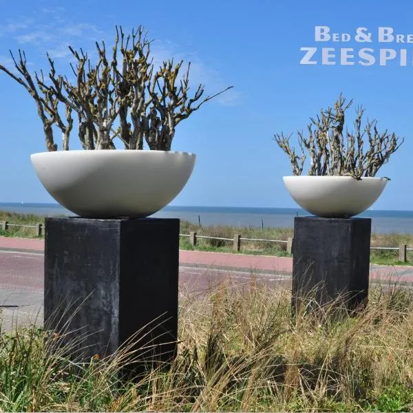 B&B Zeespiegel, hotel in Zandvoort