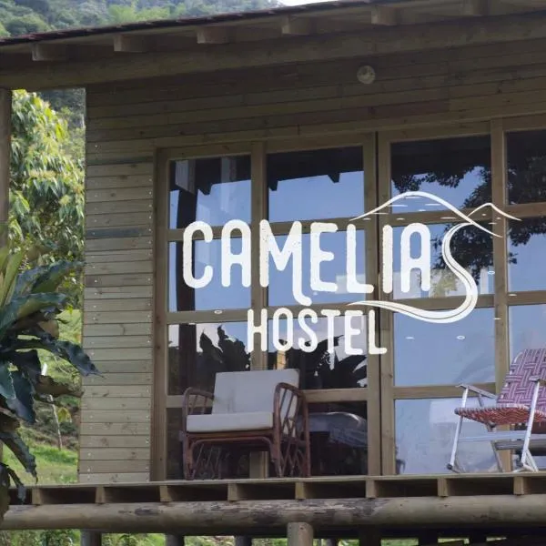 Camelia Hostel, hótel í San Carlos