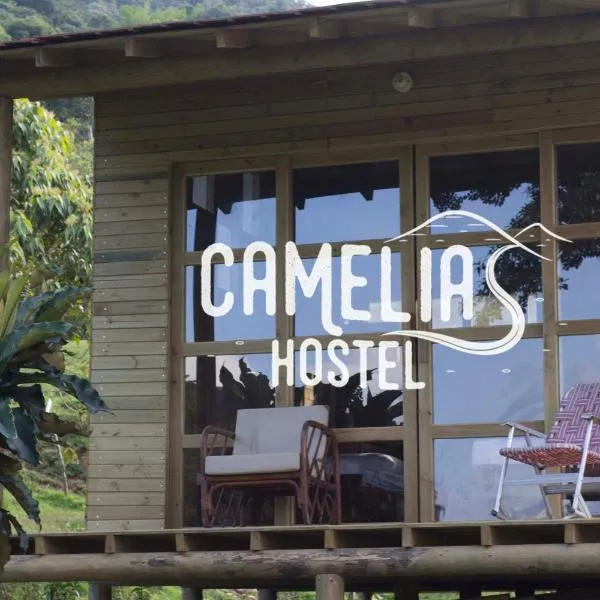 Camelia Hostel, Hotel in San Carlos