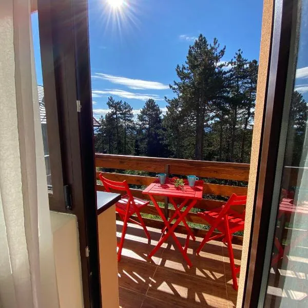 Vila Mirjana Tara, hotel v destinaci Kaludjerske Bare