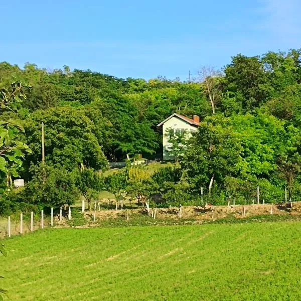 Baranja green peace，Draž的飯店