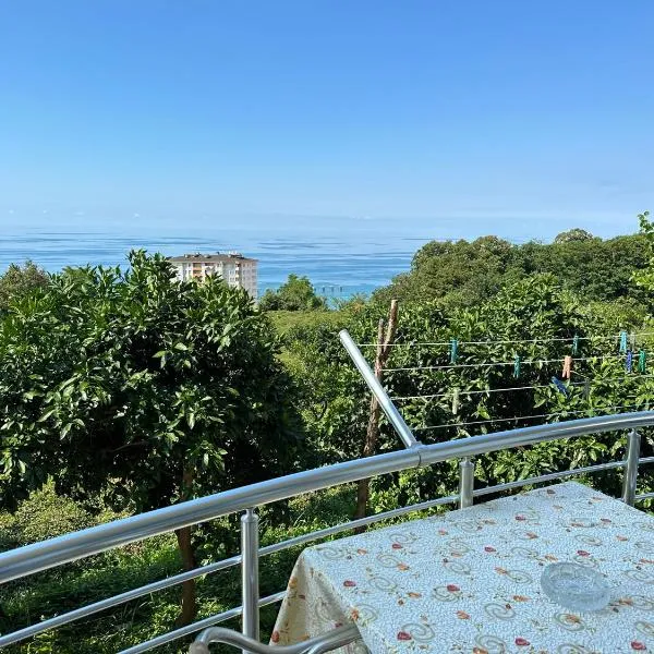 Delpina APART - Doğa içinde deniz manzaralı, hotell i Pazar