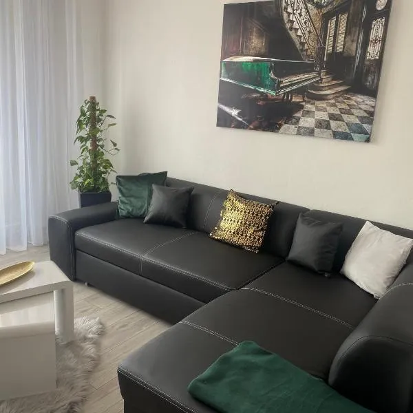 Apartmán v Třebíči, viešbutis mieste Tršebyčius