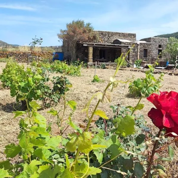 BIOdammuso, hotel v destinaci Pantelleria
