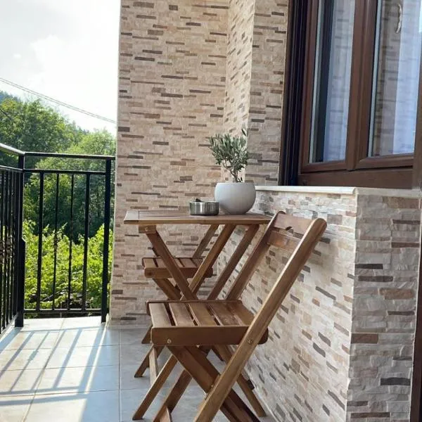 Апартамент Никола и Мария, hotel in Sapareva Banya