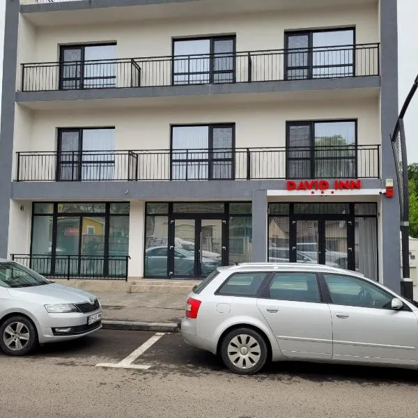 David INN, hotel v destinaci Băile Felix