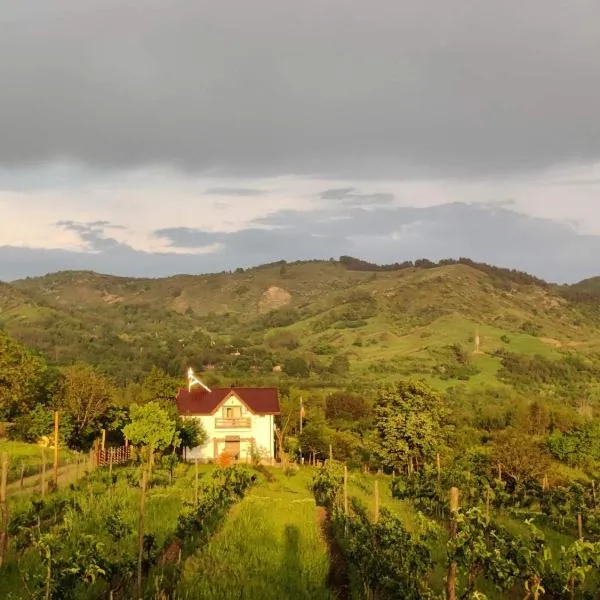 Deleni Retreat - Casa Sitaru – hotel w mieście Plavăţu