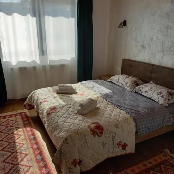 Casa Blaju, hotell i Bistriţa Bîrgăului