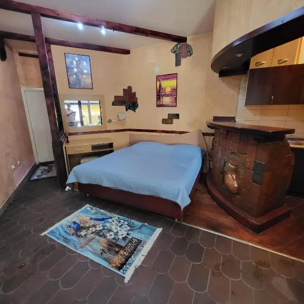 LENA Apartman 45m2 Sokobanja-CENTAR, ξενοδοχείο σε Soko Banja