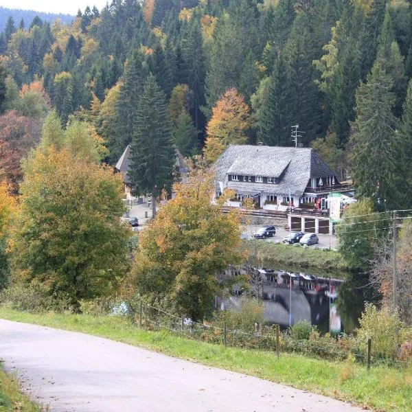 Klosterweiherhof, hotel en Görwihl