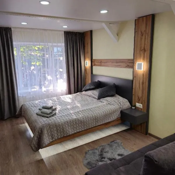 Апартаменти на Лесі Українки Центр 5хв Старе місто Парк, hotel in Kamianets-Podilskyi