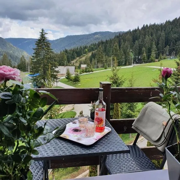 Vlašićka ruža Eko FIS 303, hotel v destinaci Vlašić