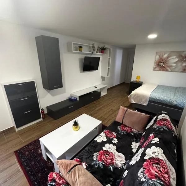 Apartment Radić 1, hotel v destinácii Sošice