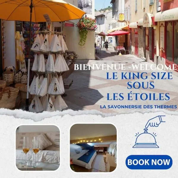 Le King & Suites étoilées, hotel in Gréoux-les-Bains