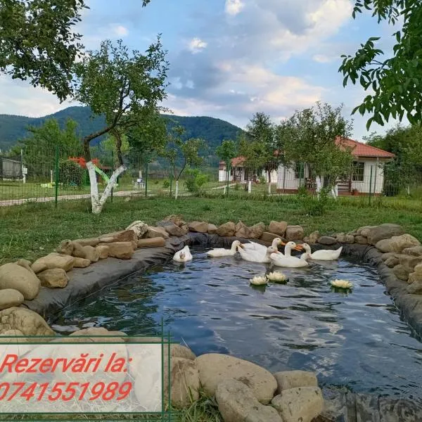 Desculti prin iarba- la 6,6 km de centrul Piatra Neamt, hotel in Piatra Neamţ
