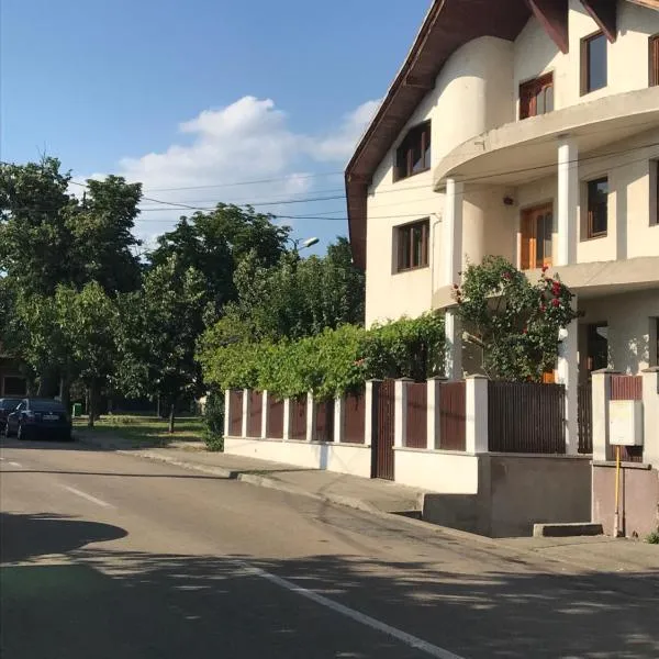 Casa Ștefan、Ţigănaşiのホテル
