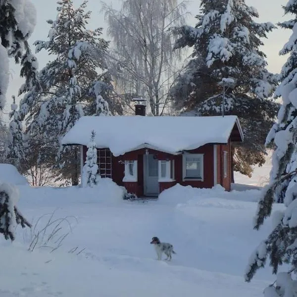 Lysti Cottage by the lake and magical countryside, hotel in Siikakämä