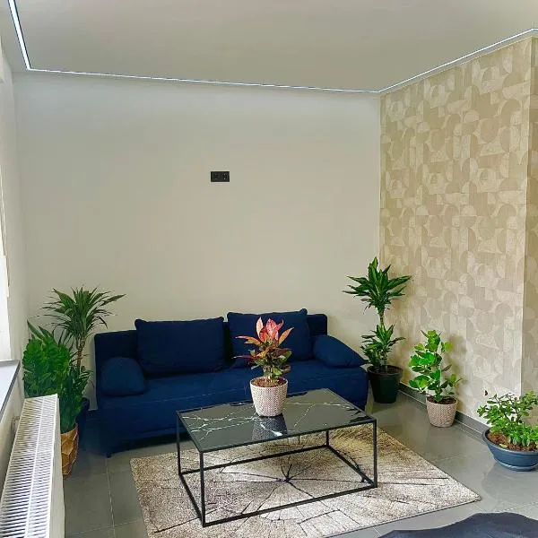 Modernes Apartment am Marktplatz، فندق في فيسيل