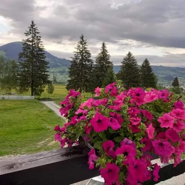 CASA LENA -VATRA DORNEI, hotell i Podu Coşnii