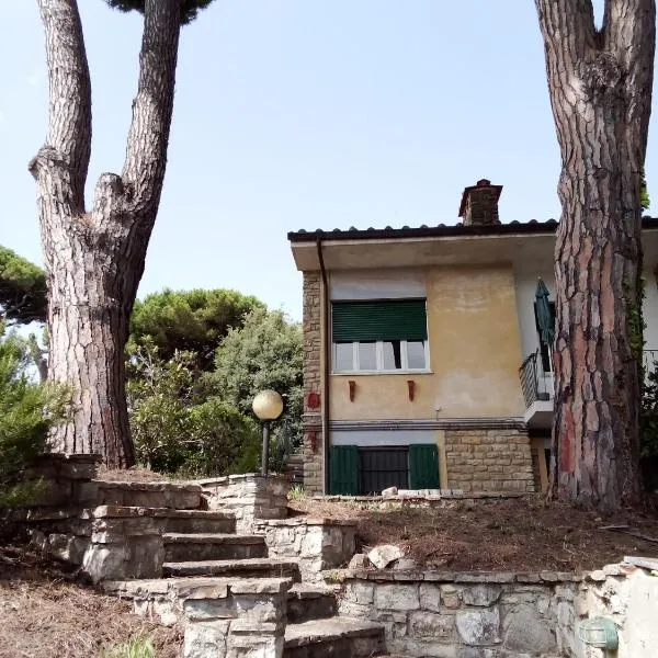 Casa Felci - Spacious Apartment Near The Beach in Tirrenia, hotel sa Tirrenia