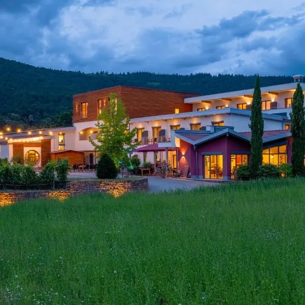 Main-Vinotel Weingut Helmstetter, hotel in Laudenbach